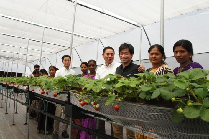 インドのイチゴ農場にて、現地パートナーたちと岩佐（右から三番目）