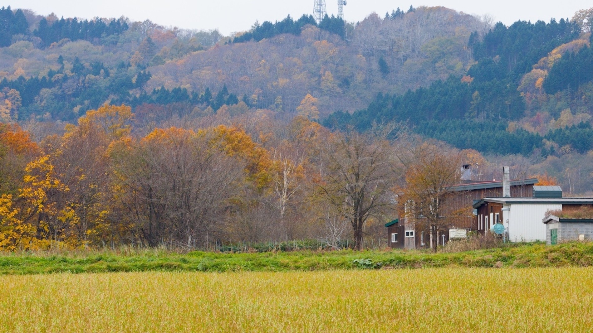 食べる人と農家が地域内で支え合う、夕張の自立型農業とは？ 【地域の