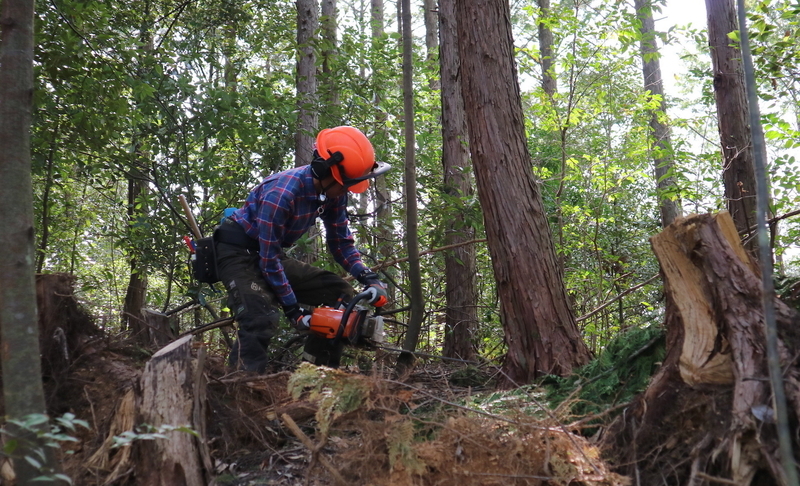 高知県佐川町では「自伐型林業」にフォーカスを絞った支援制度で関心のある若者が集まり移住者が増えている。（筆者撮影）