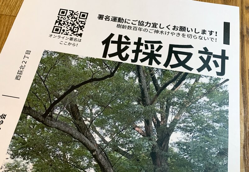 大ケヤキの伐採に反対する署名活動は、ネットと紙の両方でおこなわれている（撮影・亀松太郎）