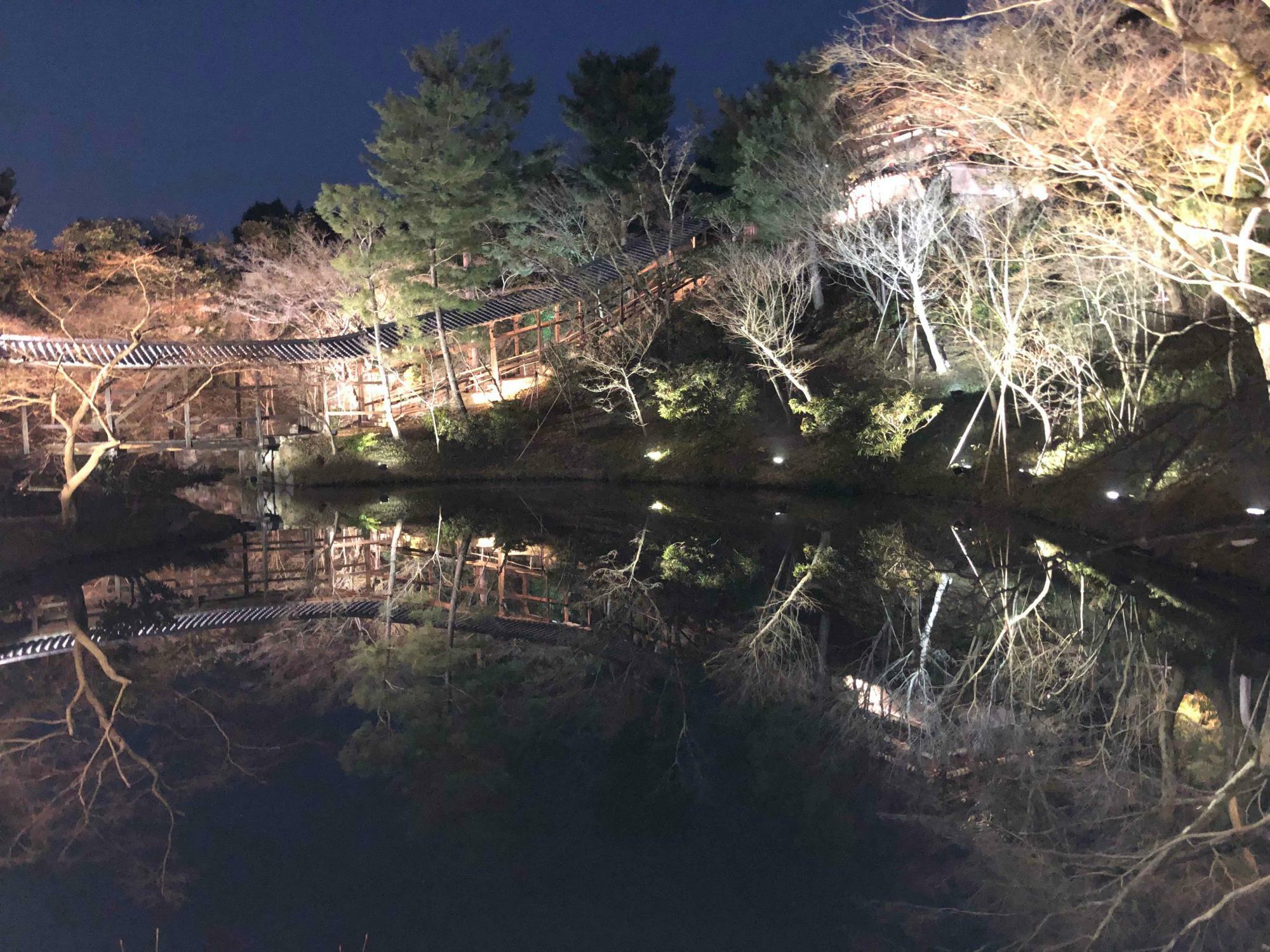 水面に庭が映り込んだ水鏡　渡り廊下の上にはねね（おね）と秀吉をまつった御堂がある（写真：海南友子）