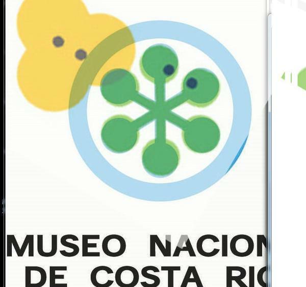 指摘のあったコスタリカのデザインに類似のロゴ