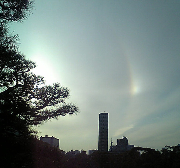 幻日、2007.3.17大阪市内。画面左端に太陽があり、右側に明るい場所がある。