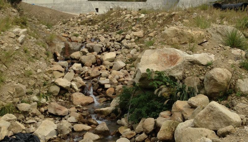 紀伊半島大水害で甚大な被害を受けた那智川沿いの沢。まだ巨石が残る。２０１３年撮影