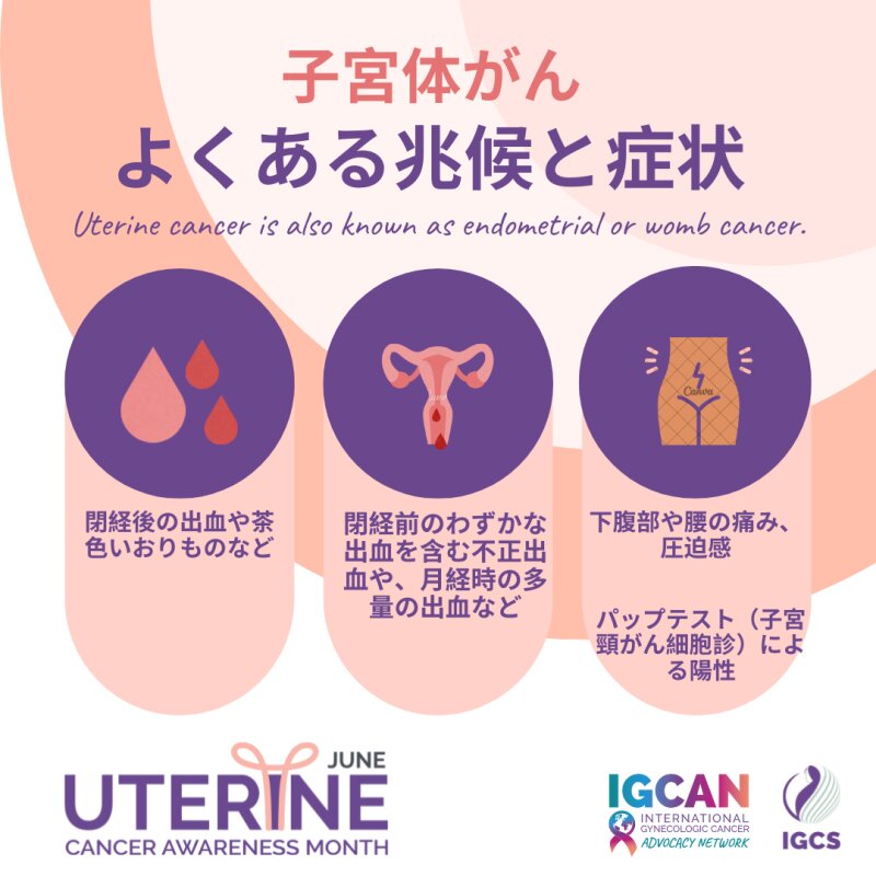 IGCSの子宮体がん啓発資料　IGCS提供