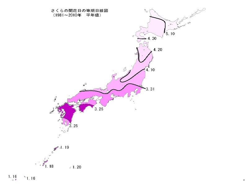 サクラ前線は約2か月かけて本州を北上する（開花日の平年値、気象庁）