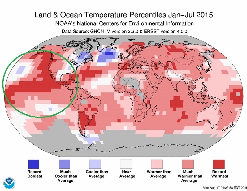 Land&Ocean Temperature Percentiles(NOAA)