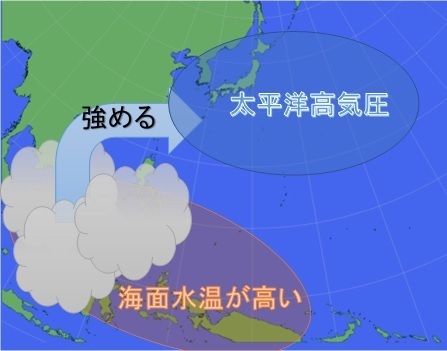フィリピン付近で対流活動が活発となり、日本付近で太平洋高気圧を強める（模式図）