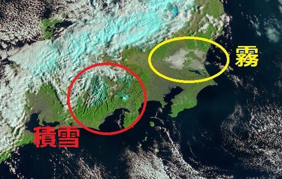 合成画像Natural color RGBでみた霧と積雪（3日午前8時）