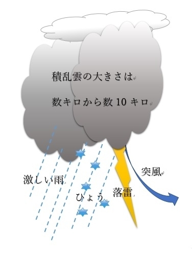 発達した積乱雲の下では激しい雨、ひょう、落雷、突風が起こる（模式図）