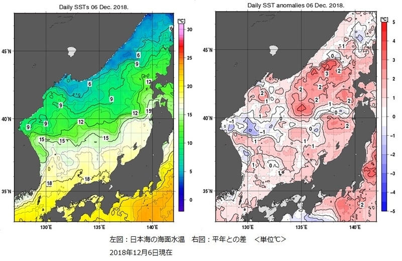 左図：日本海の海面水温、右図：平年との差（12月6日現在、気象庁ホームページより）