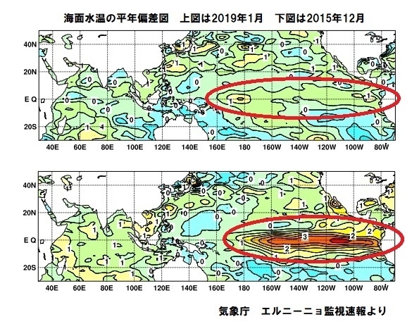 赤道を中心とした海面水温の平年偏差図（上図は2019年1月、下図は2015年12月）気象庁ホームページより（赤丸は著者加工）
