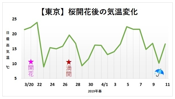 【東京】桜開花後の気温変化グラフ（3月20日から今月11日まで、著者作成）