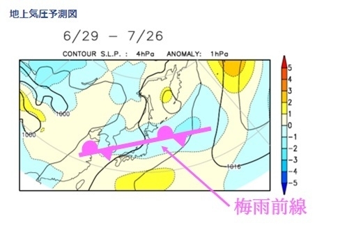 向こう1か月の地上気圧予測図（気象庁ホームページより、梅雨前線は著者加工）