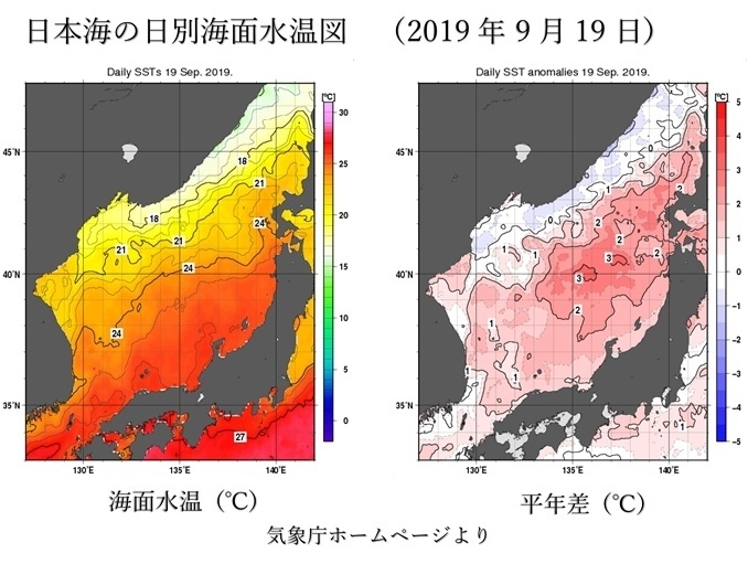 日本海の日別海面水温図（9月19日　左図：海面水温、右図：平年差、気象庁ホームページより）