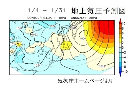 地上気圧予測図（1月4日から31日までを予想した図、気象庁ホームページより）