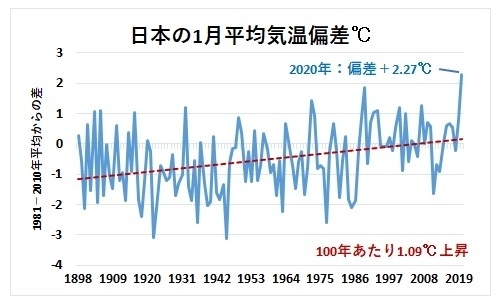 日本の1月平均気温偏差の経年変化グラフ、1898〜2020年（著者作成）