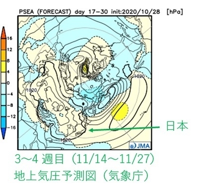 11/14～11/27の地上気圧予測図。大陸の高気圧が西日本に張り出し、寒気が流れ込みやすくなる見通し（気象庁ホームページより）
