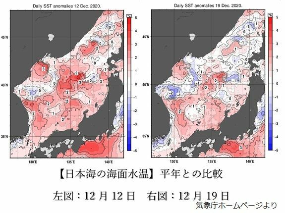 日本海の海面水温、平年と比較した図（左図は12月12日、右図は12月19日：気象庁ホームページより）