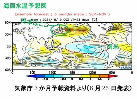 この秋（9月～11月）の海面水温の予想図：気象庁3か月予報資料より