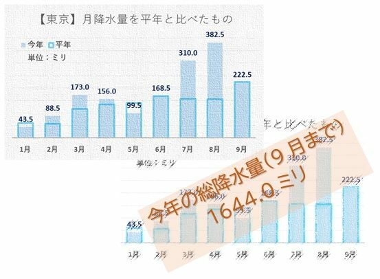 東京における今年（2021年）の月降水量グラフと9月までの総雨量（筆者作成）
