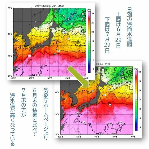 【日別の海面水温図（日本近海）】上図は2022年6月29日、下図は2022年7月29日（気象庁ホームページより、筆者加工）