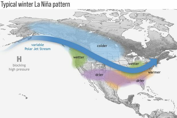 ラニーニャ現象が北米の冬の天候に与える影響（NOAA　Climate.gov）