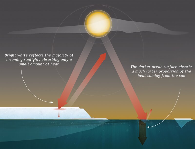 白い表面と暗い海面では太陽の熱吸収に大きな違いがあることを説明している図（米国雪氷データセンターホームページより　NSIDC Tom Prater/Carbon Brief）