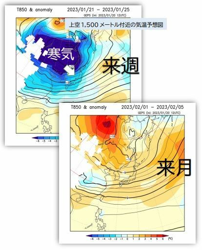 【上空1,500メートル付近の気温予想図】上図は来週、下図は来月初め（ウェザーマップ作画、筆者加工）