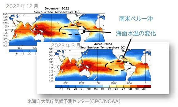 南米ペルー沖の海面水温の比較：上図は2022年12月、下図は2023年3月（米海洋大気庁気候予測センターCPC/NOAAより、筆者加工）