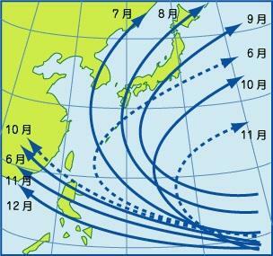 【月別の台風の主な経路】気象庁ホームページ、はれるんライブラリーより