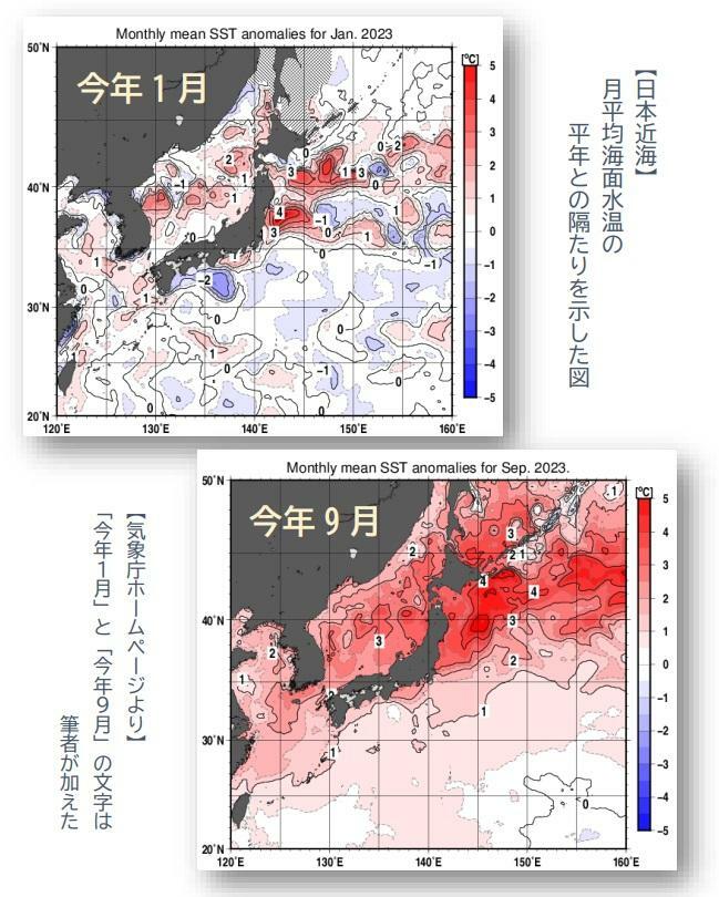 【日本近海の月平均海面水温の平年との差】上図は2023年1月、下図は2023年9月：気象庁ホームページより、筆者加工