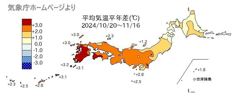 前4週間（2024年10月20日～11月16日）の平均気温の平年差、気象庁ホームページより