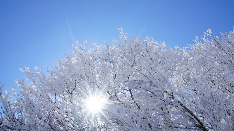 美しい霧氷の季節がやってきました 雪や氷のこと 楽しむポイントをご紹介します 加藤智二 個人 Yahoo ニュース 美しい霧氷の季節がやってきました 雪や氷のこと 楽しむポイントをご紹介します 加藤智二 個人 Yahoo ニュース