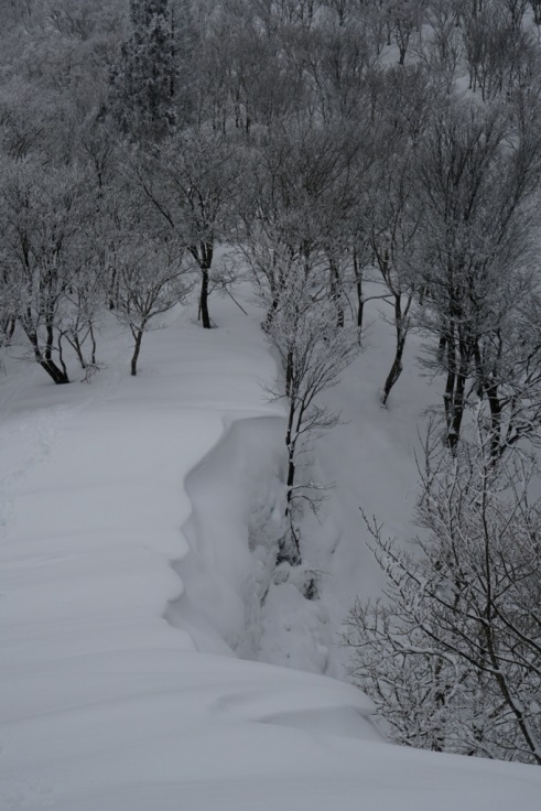 樹林の尾根にできた吹き溜まり状の雪庇
