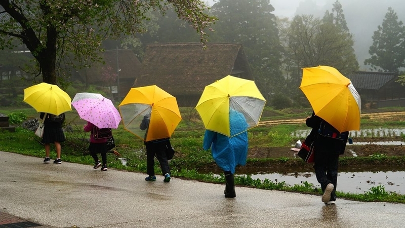 天からの慈雨が禍の洗い流してくれますように。