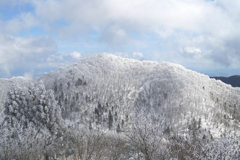 標高１０００メートル程度の比良山地、寒気の流入で木々は樹氷で真っ白になりました。
