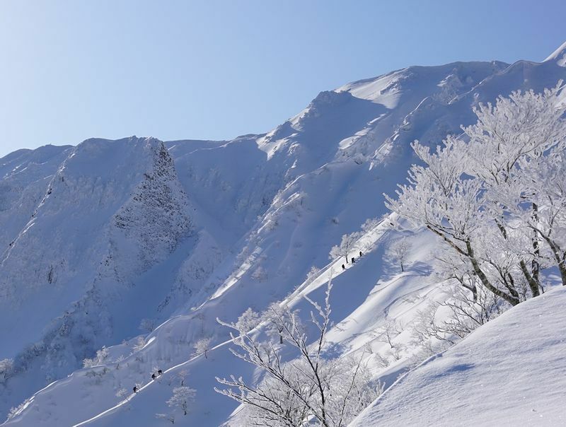 ２月、鳥取県伯耆大山の雪稜をいく登山者。大陸の寒気流入と日本海の水蒸気が大量の積雪をもたらします。