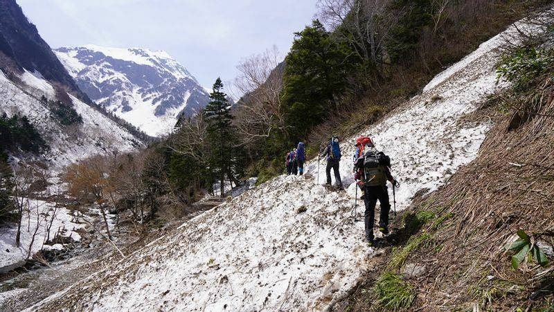 標高２０００メートル以下の登山道には雪解け後の芽生えがそこかしこ。