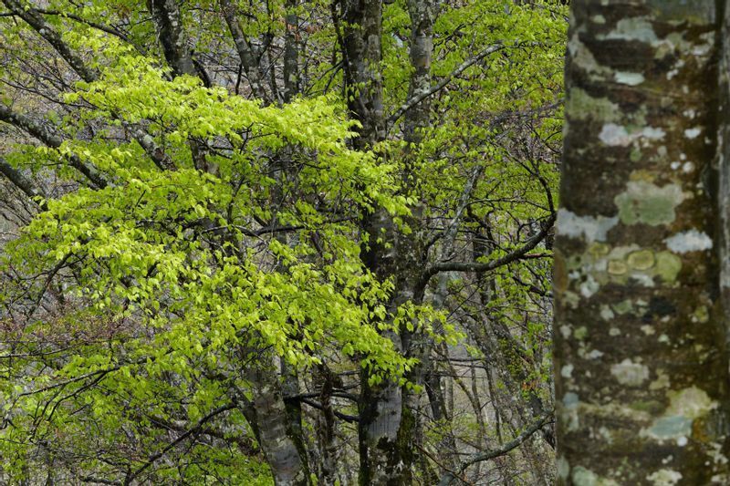 福井県と京都府の八ヶ峰にて