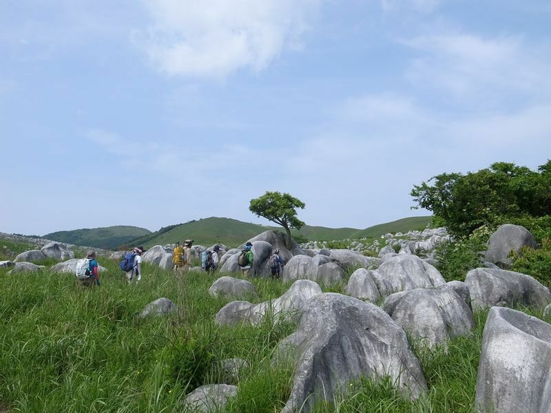 福岡県平尾台の石灰岩群