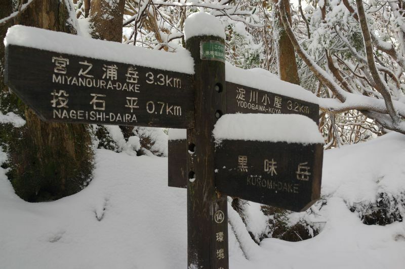 屋久島の冬、奥山エリアに雪が積もります　※写真はすべて筆者が撮影