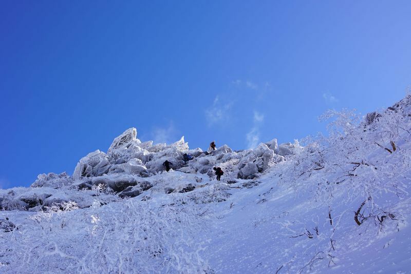 八ヶ岳天狗岳、寒風はあらゆるものを氷で包み込む　※写真はすべて筆者が撮影　