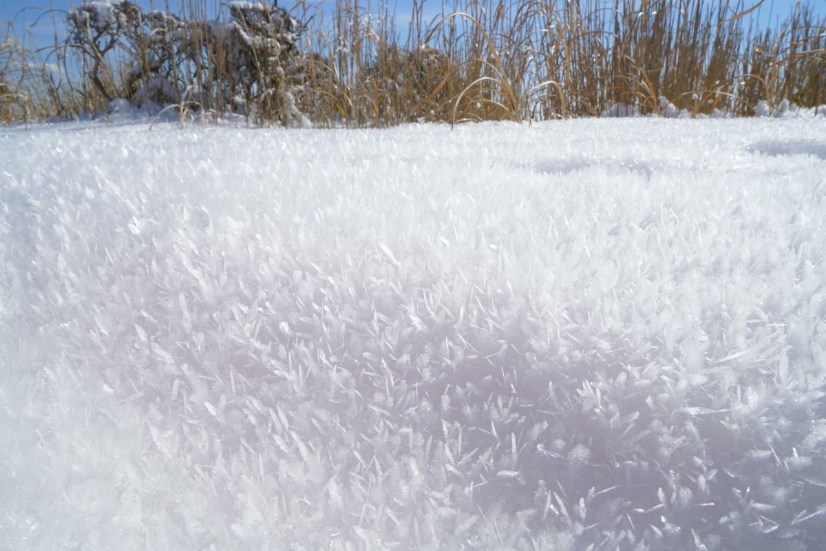 葉っぱ状の霜に覆われた草原の山　※写真はすべて筆者が撮影
