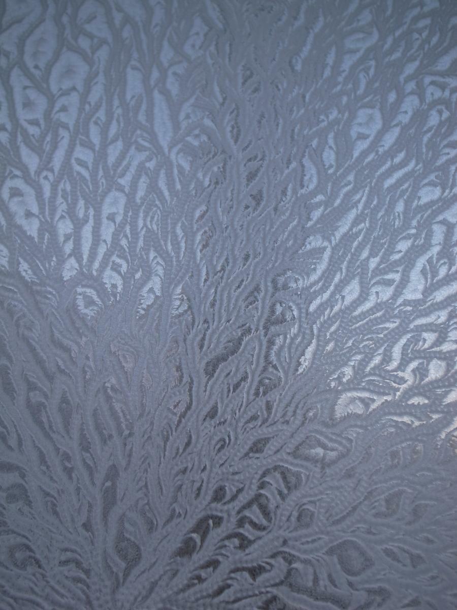 暖かい部屋と凍える外を隔てる窓霜は一枚のカンバスに描かれた芸術　※写真はすべて筆者が撮影