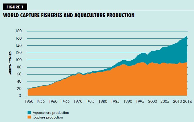 世界の水産物生産量 SOFIA 2016 TABLE1より引用
