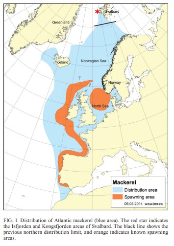 大西洋サバの分布（青が生息域、オレンジが産卵場）出典：https://core.ac.uk/download/pdf/43619417.pdf