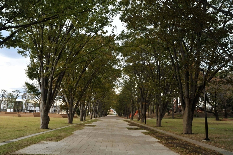 鶴間公園内の様子（筆者撮影）