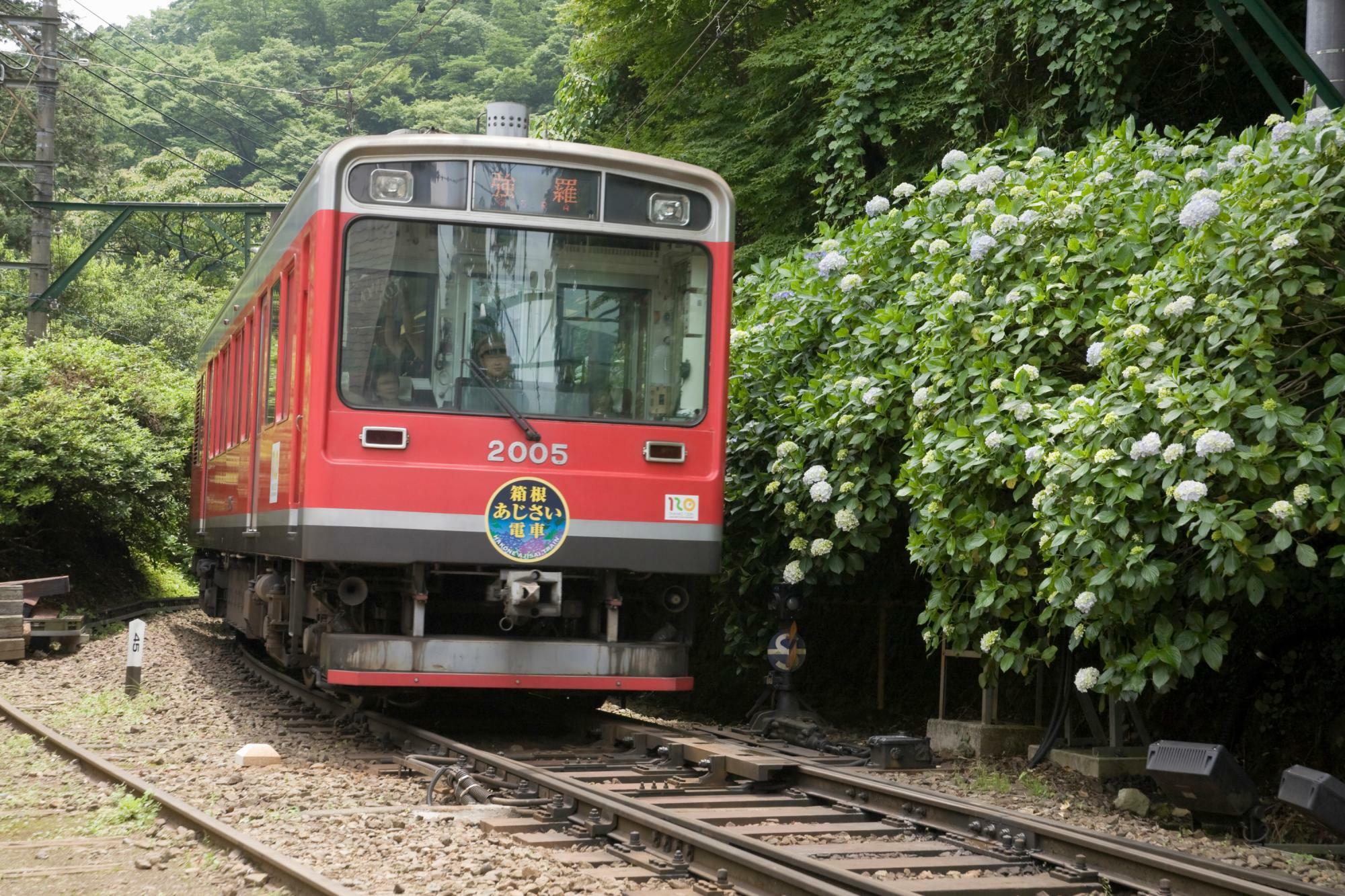 箱根登山電車の「あじさい電車」