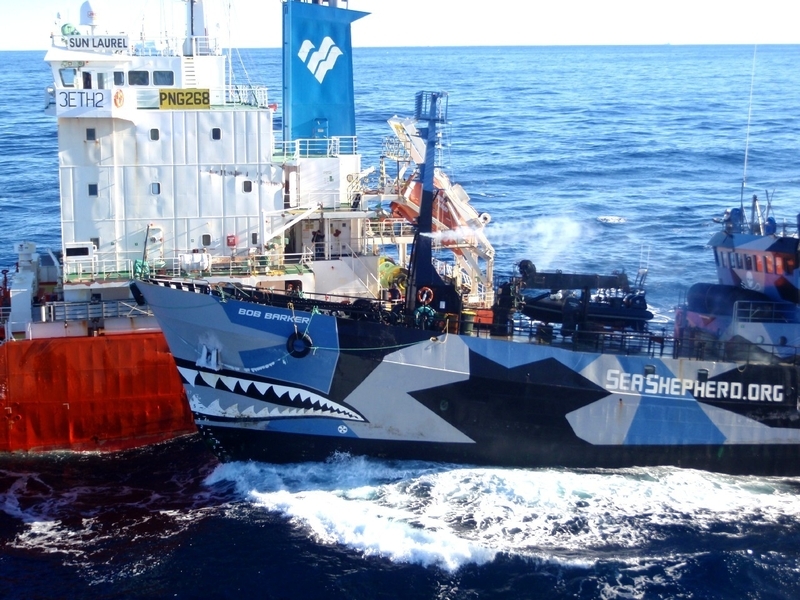 シーシェパードが日本の調査捕鯨船にアタック（写真：日本鯨類研究所）